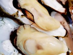 鲜蚝-蠔门宴海鲜城·阳江特色菜