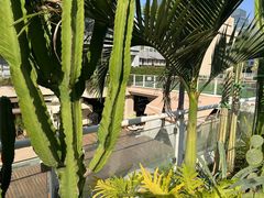 -CIAO·团建聚餐·生日派对轰趴馆(福田店)