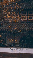 点击看大图 -雍禾植发
