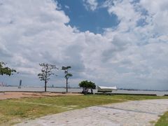 -海鸥岛
