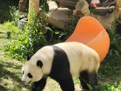 -石家庄市动物园