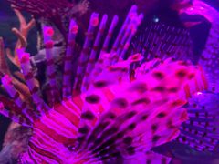 -沈阳海洋探索中心