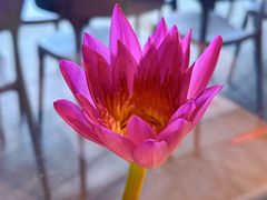 -原石牛扒·约会餐厅(龙城万科里店)