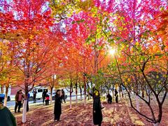 -辽宁大学(崇山校区)