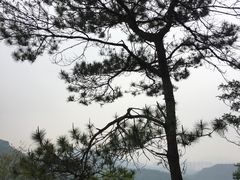 -田心森林公园