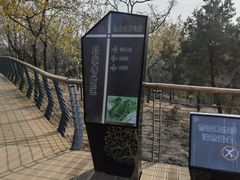 -白水寺森林公园