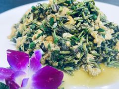 -东哥紫阳蒸盆子(旺座·现代城店)