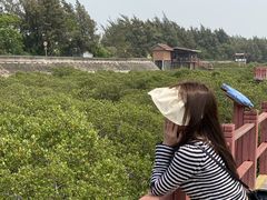 -北海金海湾红树林生态旅游区