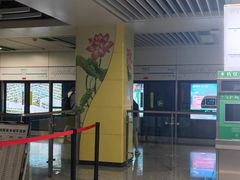 -杨柳河(地铁站)