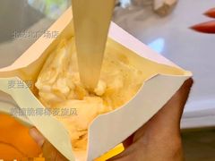 姜撞脆椰椰麦旋风-麦当劳(北站北广场店)