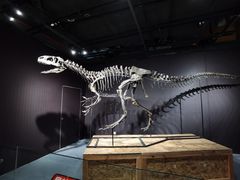 -正佳自然科学博物馆