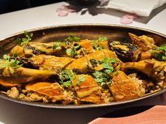 三黄鸡羊肚菌烩饭-Oyster Talks 四度蚝法餐厅