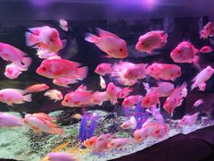 -泉城欧乐堡海洋极地世界