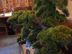 -玉川屋·深夜食堂居酒屋(柳巷店)