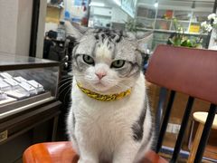 -百金通黄金回收首饰定制维修(珠江路总部)