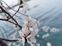 -颐和园