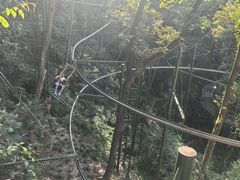 -浔味·山屿湖·正宗全鱼宴老字号
