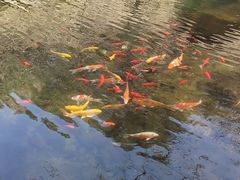 -昆嵛山石门里景区