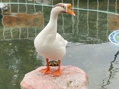 -龙华寺
