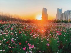 -哈尔滨大剧院