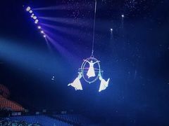 -广州长隆国际大马戏
