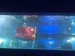 -重庆欢乐海底世界
