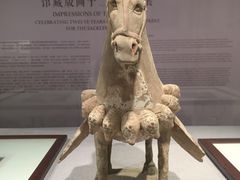 -北京大学赛克勒考古与艺术博物馆