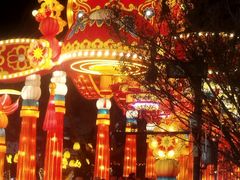 -鸭小妹鸭血粉丝(老门东店)