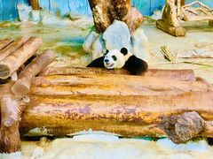 -海南热带野生动植物园