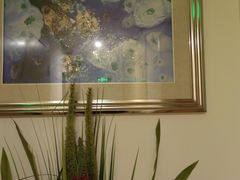 -宫七SPA·高端Massage(浦东大道店)
