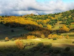 -塞罕坝国家级自然保护区