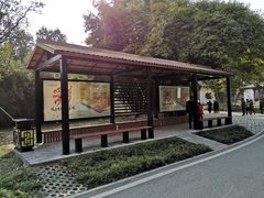 -堤角公园
