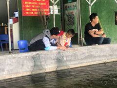 -会江钓鱼钓虾烧烤场