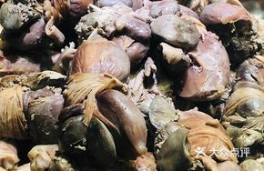 Goose Gizzard