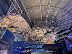 -烟台海昌鲸鲨海洋公园