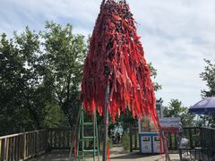 -帽儿山国家森林公园