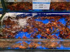 -果蔬好生活超市(东湖店)