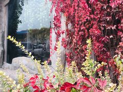 -兴芮温泉度假区