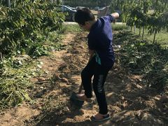 -意大利农场度假村