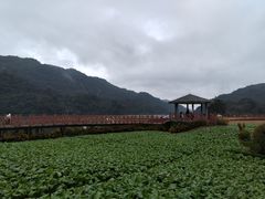 -广州市石门国家森林公园