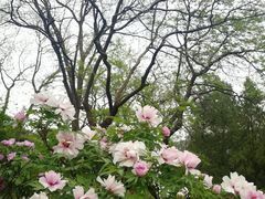 -国家植物园南园