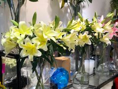 -双季花艺园艺市场(浦东店)