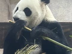 -无锡动物园·太湖欢乐园
