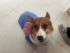 -怪兽屋·羊驼·猫咖·狗咖(俊华广场店)