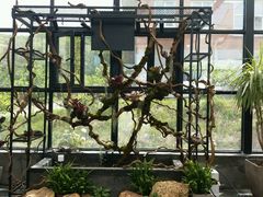 -北马山庄植趣咖啡