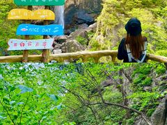 -洛阳白云山景区