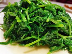 清炒豆尖儿-峨嵋酒家总店(车公庄店)