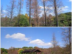 -海珠湖公园