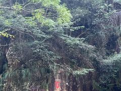 -刘伯温故里景区百丈漈