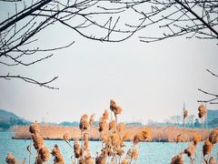 -南北湖风景区